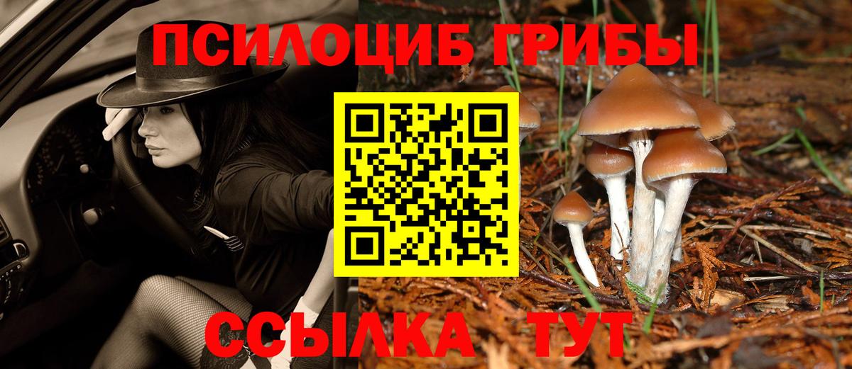 Псилоцибиновые грибы GOLDEN TEACHER Саяногорск